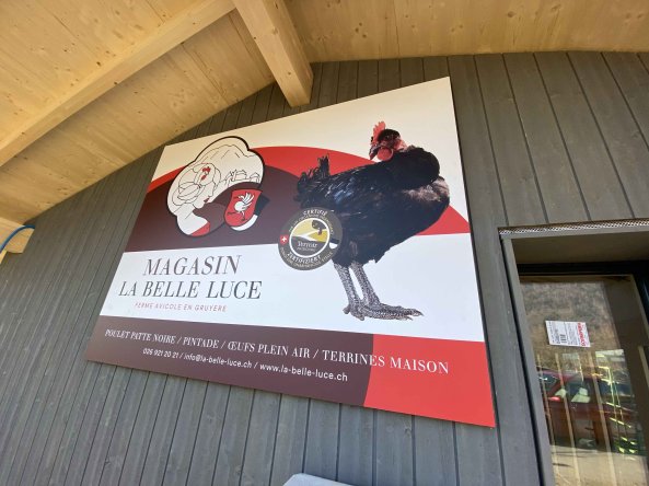 7ce3ee64-e943-4f5a-b231-8ab1cd66743a_1