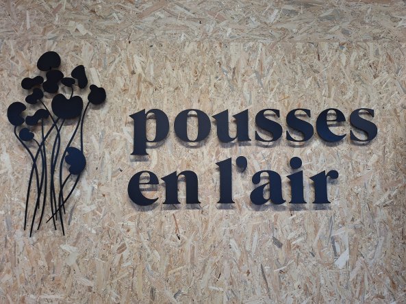 pousse2