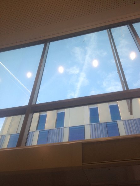 0a0c1938-fcef-4f1e-9138-708d7d3af196