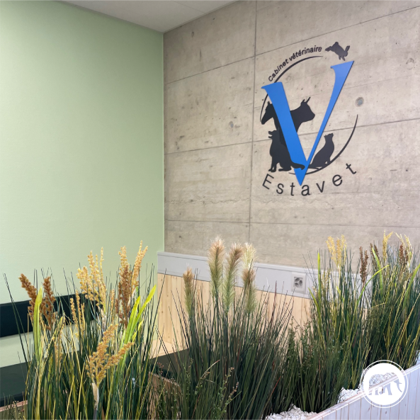 estavet1